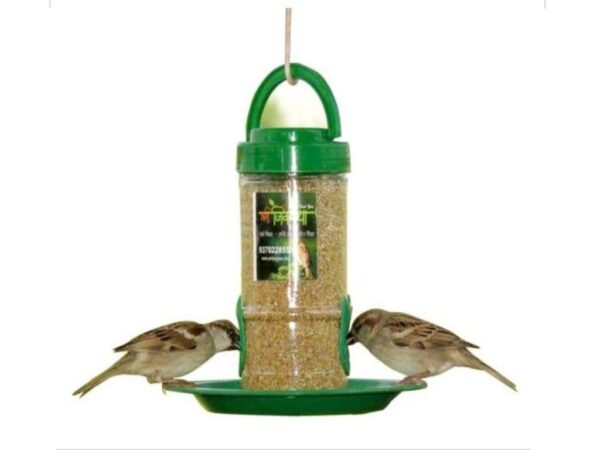 Small Bird Feeder for elders